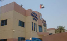 eFORCE Consultancies Group